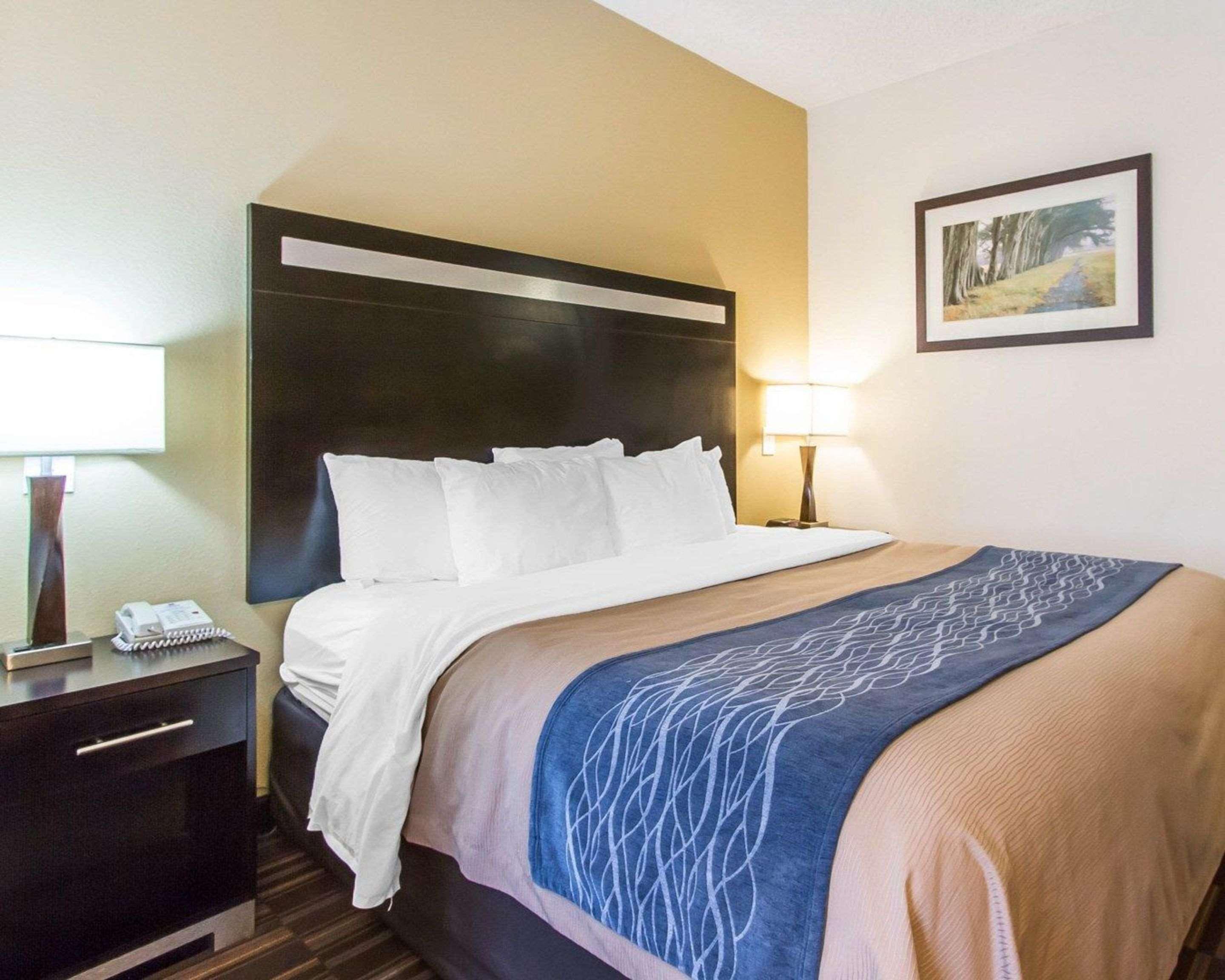 Comfort Inn Greenville I-65 Dış mekan fotoğraf